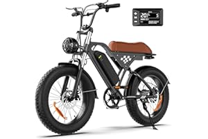 Fcgeoi Electric Bike, 1000W/750W/500W Peak Motor, 65/60/55 Miles & 20MPH, 26''/20''/14'' Tires, Removable Battery E-Bikes, Shock Absorber, Commuting Electric Bike for Adults