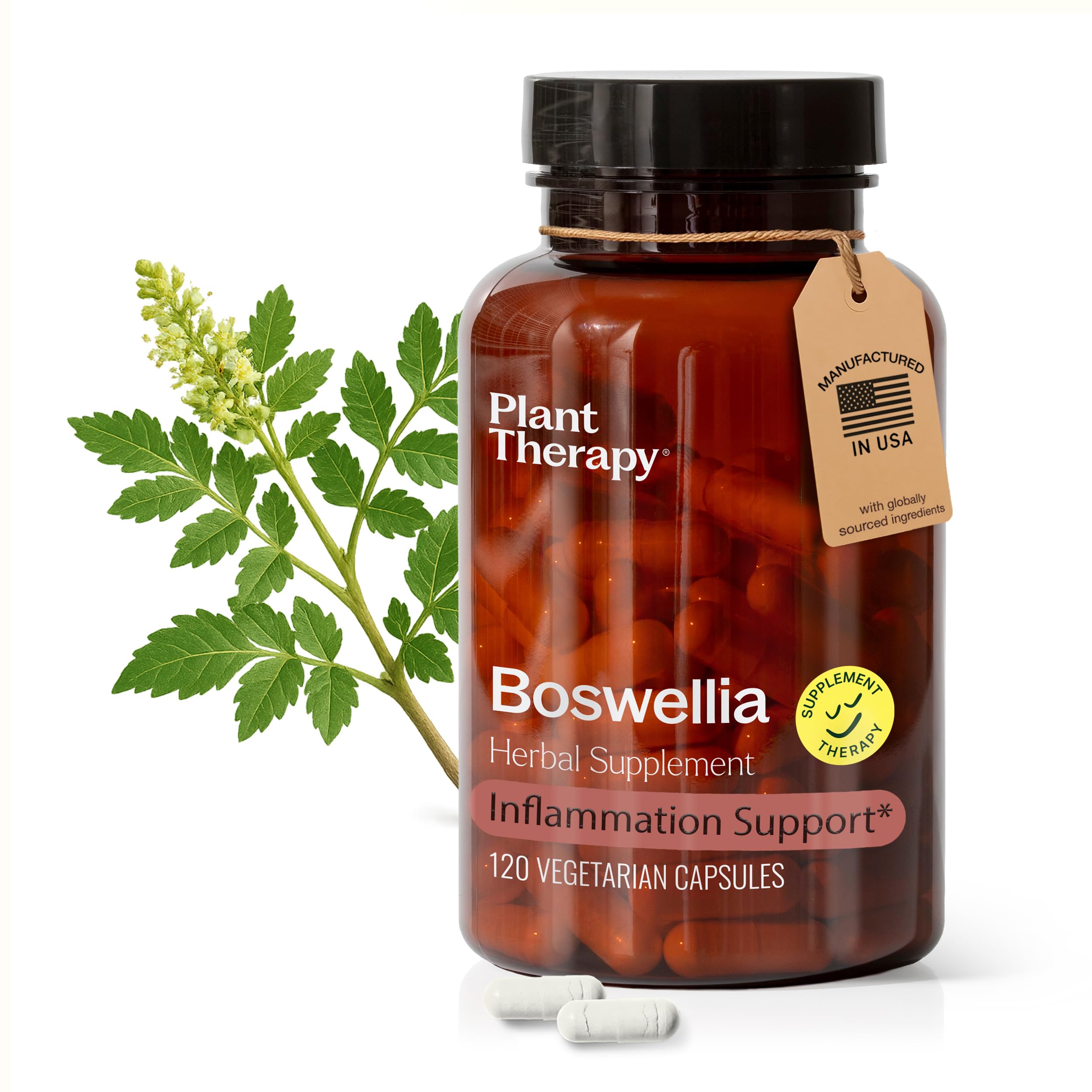 Boswellia