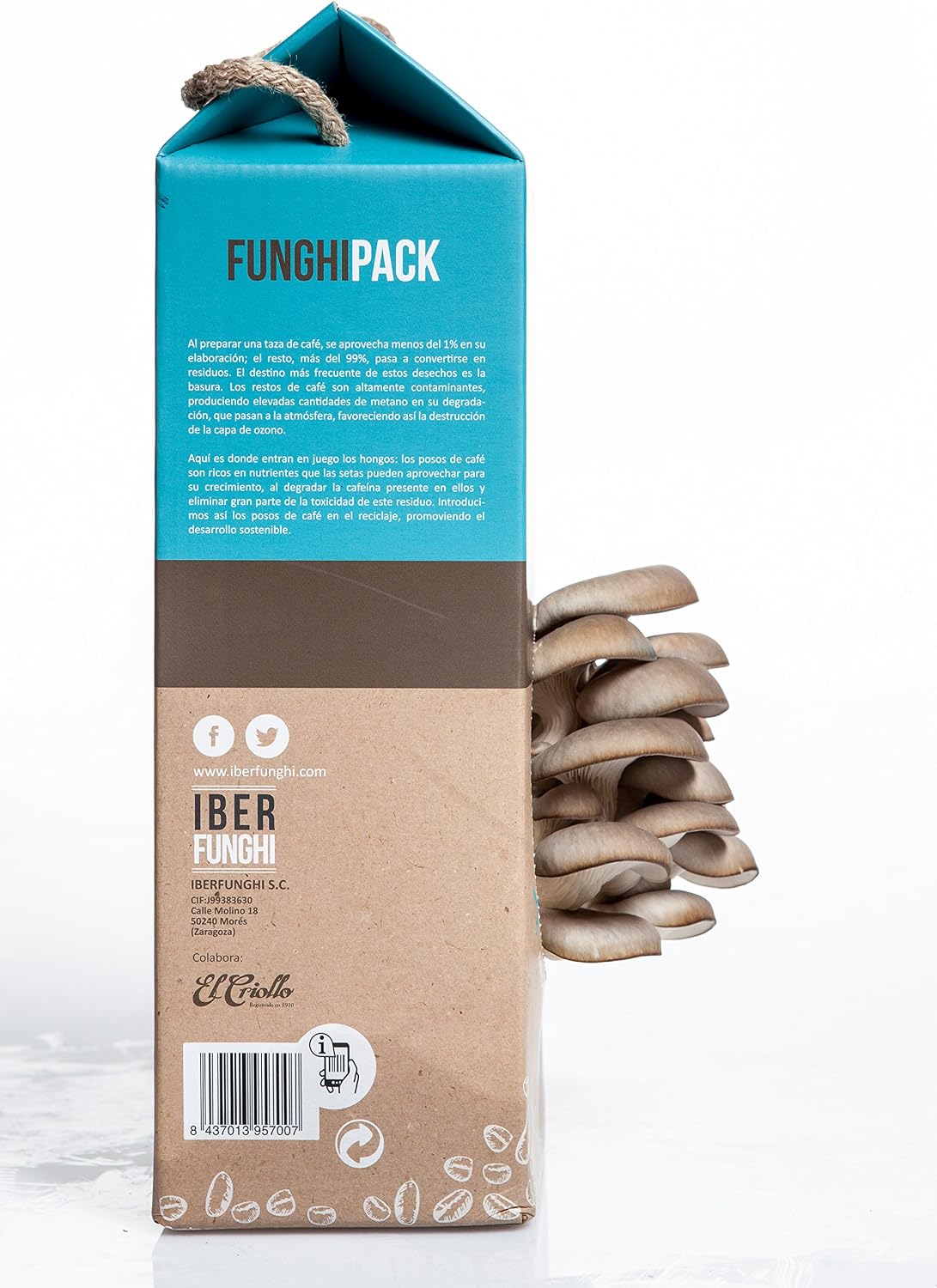 Funghipack-Kit de cultivo de setas sobre posos de café: Amazon.es ...