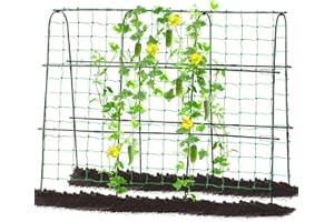 FOLLOOK Garden Cucumber Trellis for Climbing Plants Outdoor, 65 x 48 inch U-Shaped Garden Arch Trellis, Pea Tomato Cucumber Trellis for Garden Raised Bed, 120x160-BLK