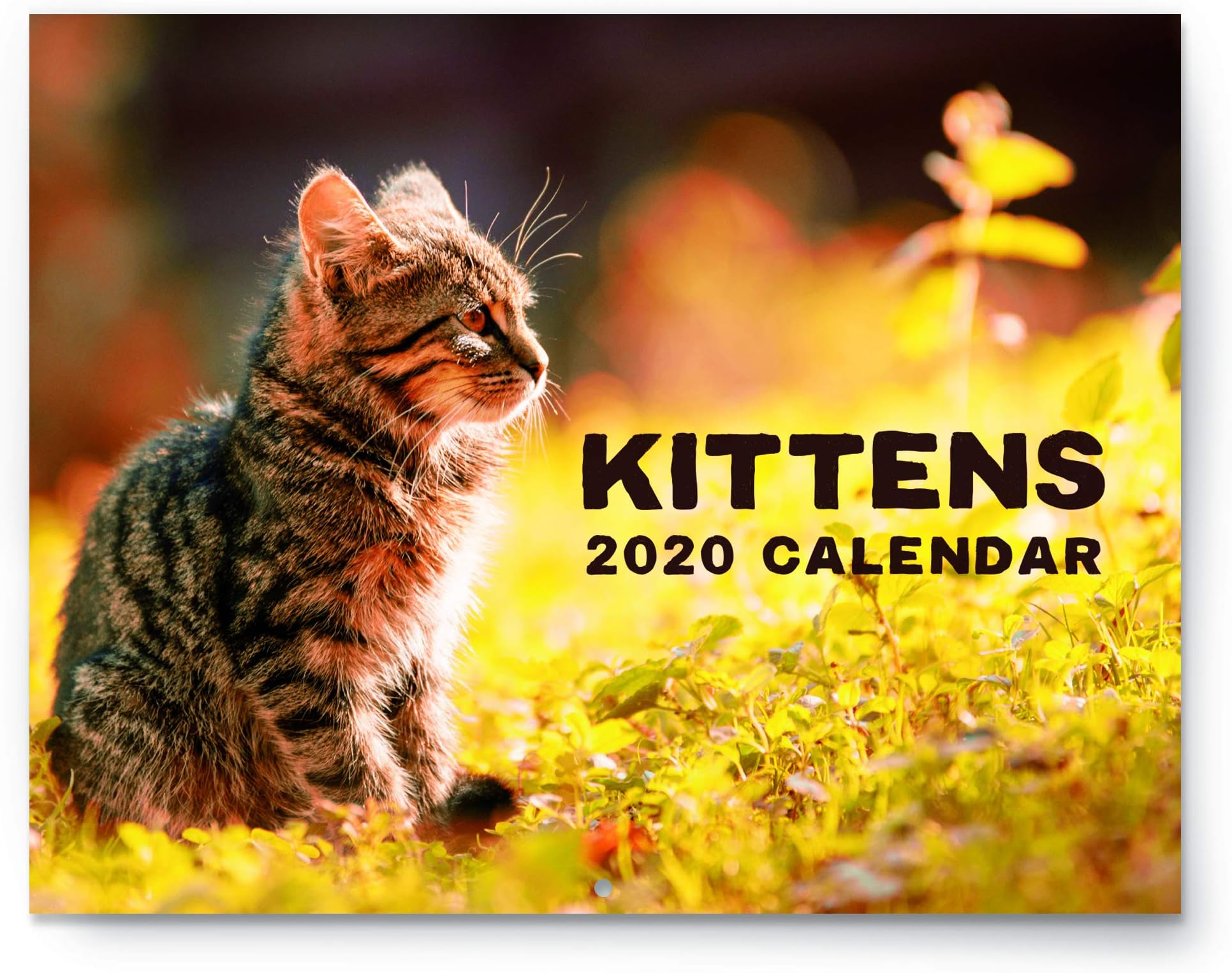 2020 Kitten Wall Calendar - Large 11" x 17" Open - Beautiful Cat Photos on Sturdy Paper - Breathtaking Images of Kittens in Official 2020 Planner