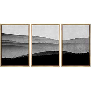 SIGNWIN Framed Canvas Print Wall Art Trio of...