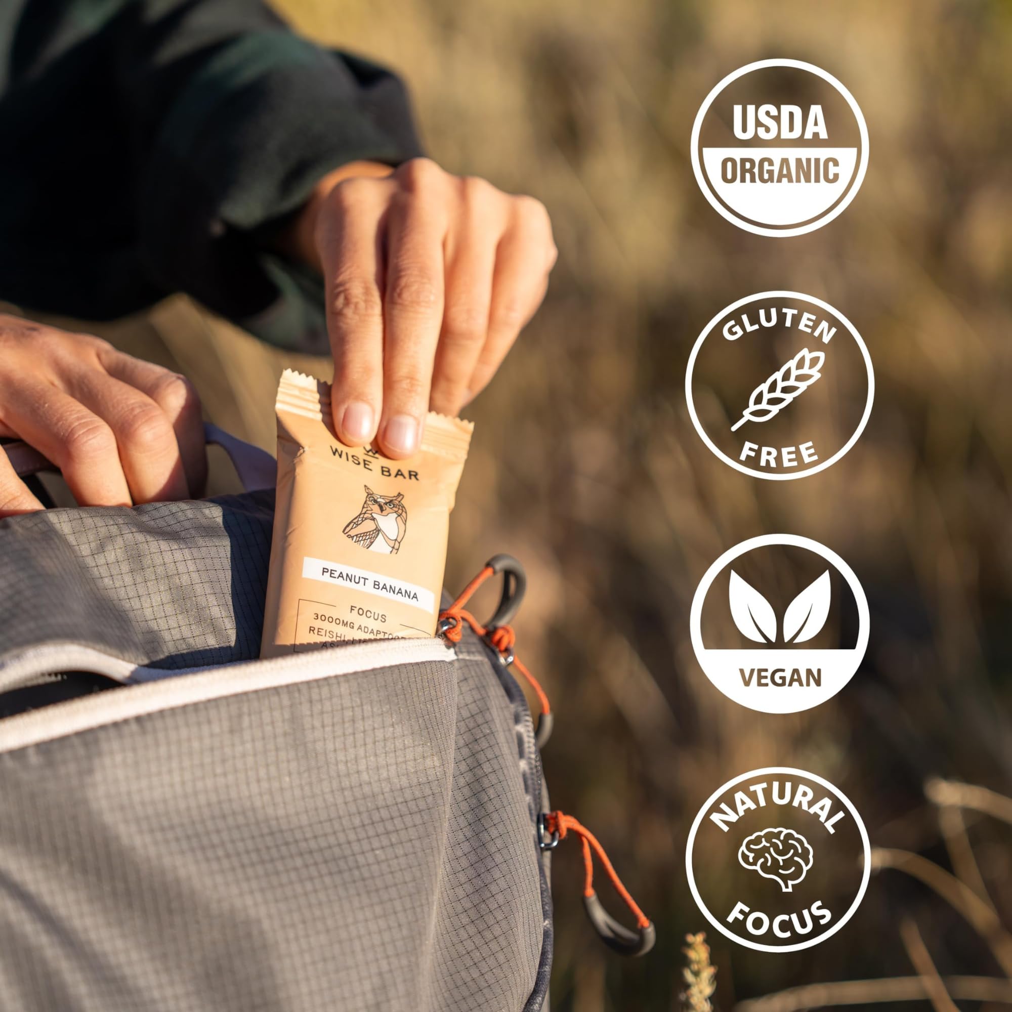 WISE BAR Adaptogen Mushroom Nutrition Bars with Reishi, Lions Mane & Ashwagandha, Organic Vegan & Gluten Free Snacks for Natural Focus, Energy & Immunity Support, Cinnamon Turmeric Flavor, 12 Count