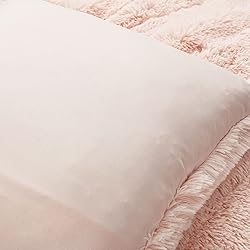 Lush Decor Emma Soft Fluffy Faux Fur Kids College