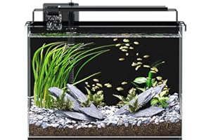 RED TAIL FISH 5 Gallon Fish Tank Aquarium Kit with Filter, LED Light with Timer, Siphon Vacuum Cleaner, Lid, Self-Cleaning Glass Rimless Betta Tank