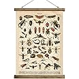 SHOXREM Vintage Poster,Rustic Art Prints, Retro Style of Wall Hanging for Living Room Office Classroom Bedroom Playroom Apartment Decor. (Insects B 1Panels, 16“ x 24”)