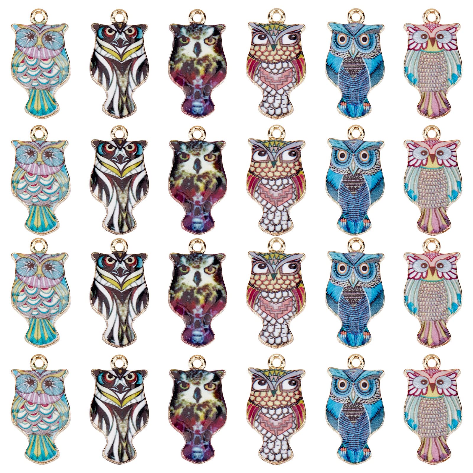 SUNNYCLUE 1 Box 36Pcs Owl Charms Owls Charms Halloween Owl Enamel Charms Colorful Magic Abstract Flying Animals Alloy Charm for jewellery Making Charm Necklace Bracelet Earring DIY Craft Supply Adult