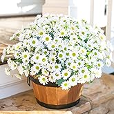 Daisy Artificial Flowers for Outdoors Decoration, 6 Bundles Fake Plants Flowers Bouquet Faux Flowers for Outdoor Planter Look Real UV Resistant Silk Flowers for Outside Front Door Porch Patio, White