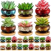 RimCereal 24 Pcs Ceramic Succulent Pots 2.5 Inch Small Plant Pots Indoor with Drainage and Bamboo Saucers Colorful Succulent Flower Planters for Garden Plants Home Decor(Round,1.2 Inch H)