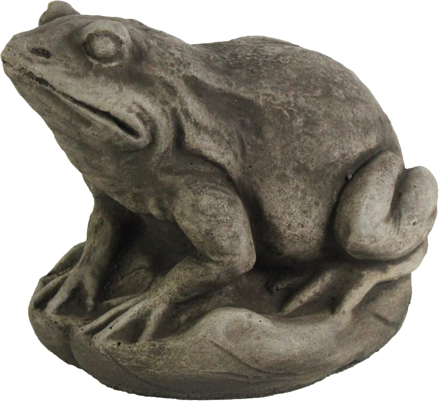 Amazon Com Garden Frog Concrete Garden Statue Toad Figure Cement Outdoor Frog Figurines Home Kitchen