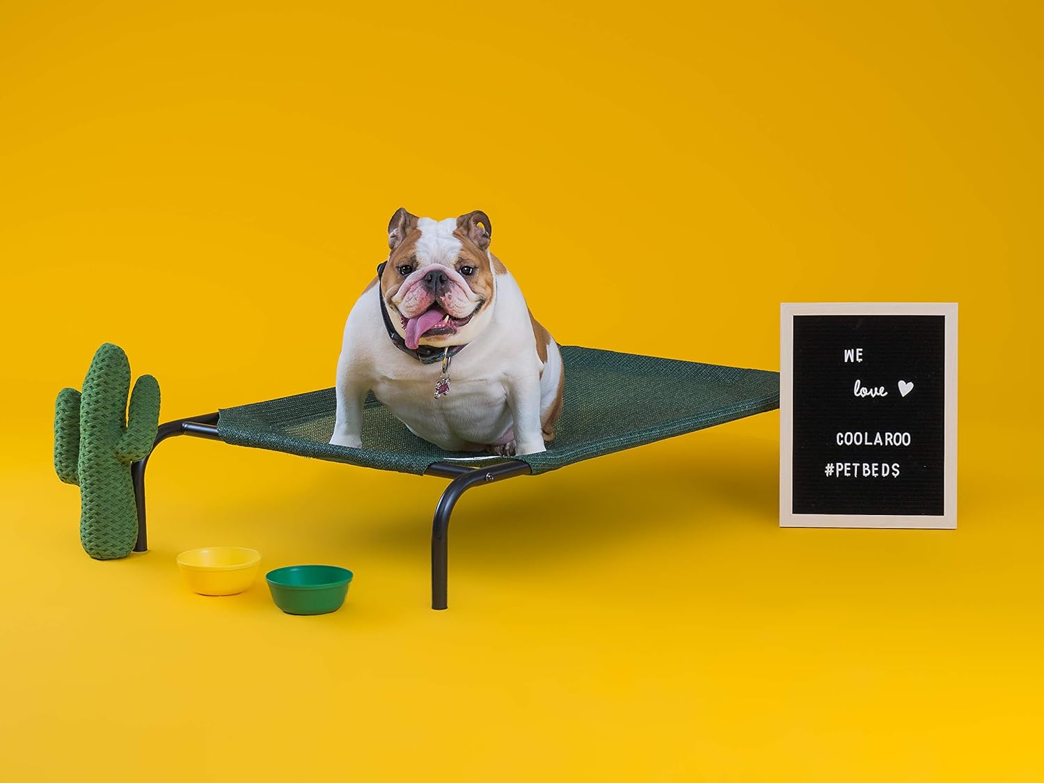 Coolaroo Replacement Cover, The Original Elevated Pet Bed by Coolaroo, Large, Brunswick Green : Dog Bed Cover : Pet Supplies