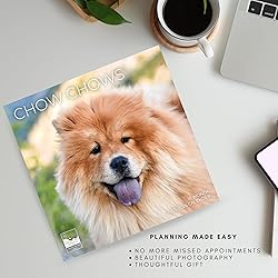 July 2025- December 2026 Wall Calendar 18 Month