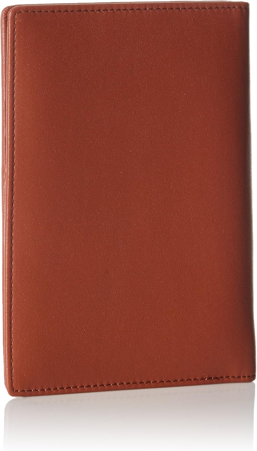  | Basics Leather RFID Blocking Passport Holder Wallet - 6 x 4 Inches, Black | Passport Wallets