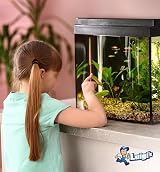 Luigi's Syphon Fish Tank Cleaner 3 in 1 Water Change Gravel Washer Kit view 7