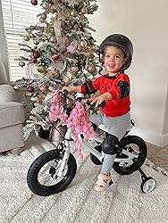RoyalBaby Freestyle Kids Bike Boys Girls 16 Inch