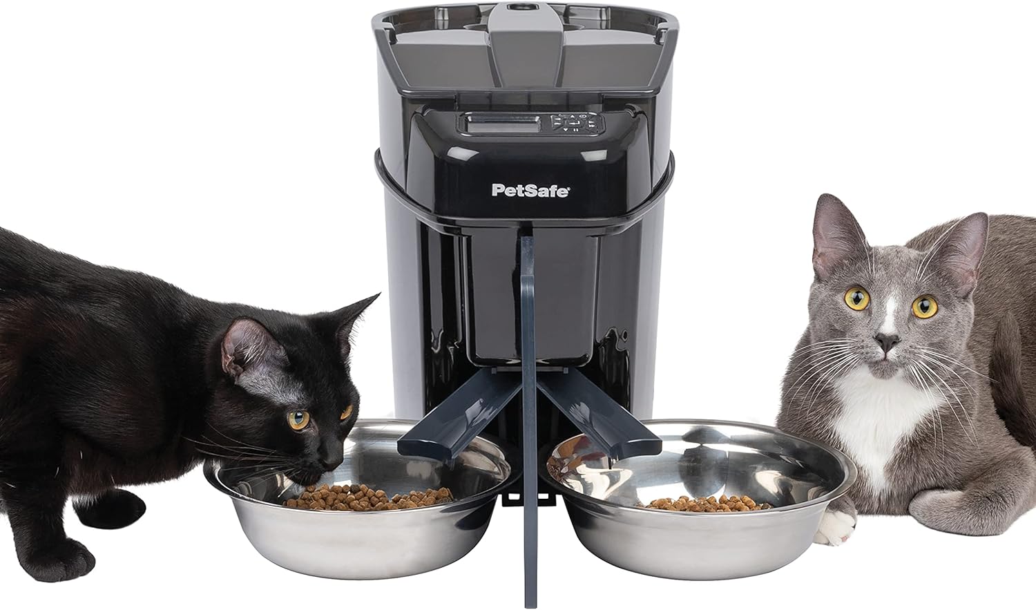 cat self feeder