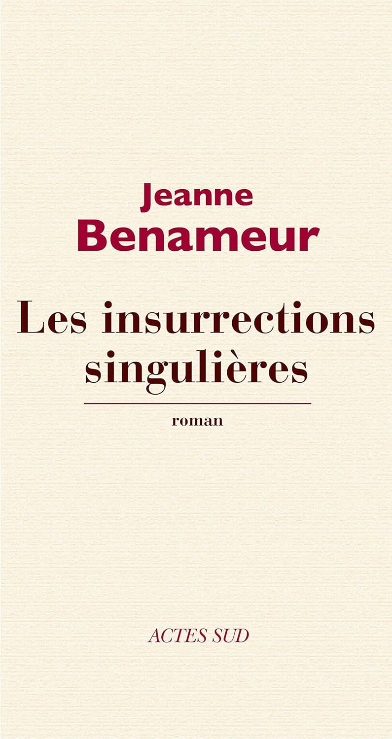 Les Insurrections Singulières Domaine Français Ebook - 