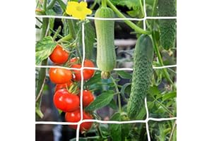 YHmall 5x30 Ft Plant Trellis Netting, 2 Pack Heavy Duty Garden Trellis Netting with 50pcs Garden Ties, Square Mesh Outdoor Grow Net for Vining Climbing Plants, Tomatoes Peas Cucumber Fruits and Flower