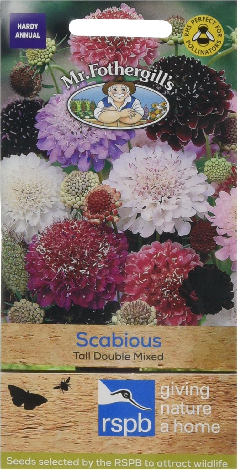Mr. Fothergill's Tall Double Scabious Mixed Flower Seeds
