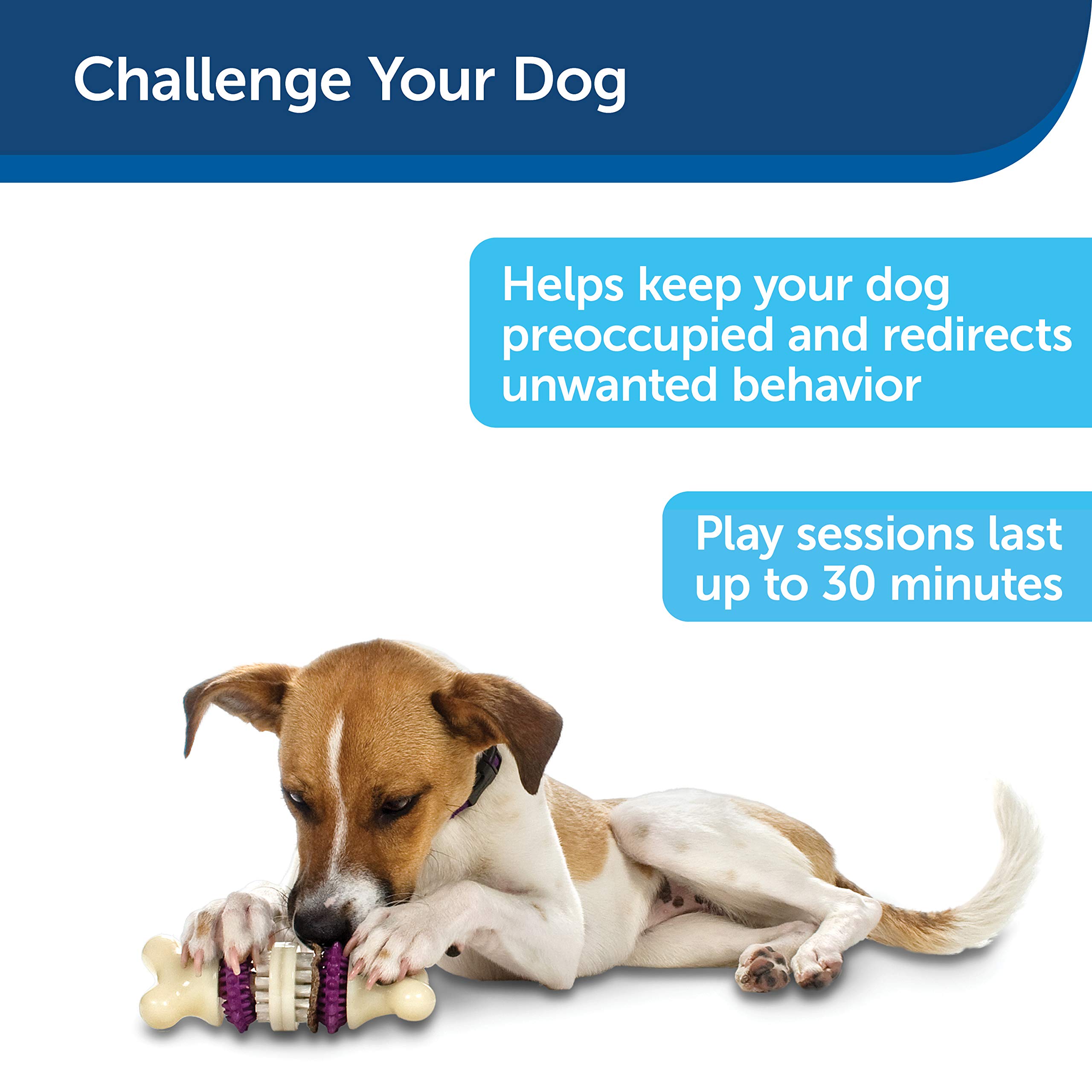 PetSafe® Busy Buddy® Bristle Bone®, Medium, Helps Keep Your Dog's Teeth Clean, Long-Lasting Playtime