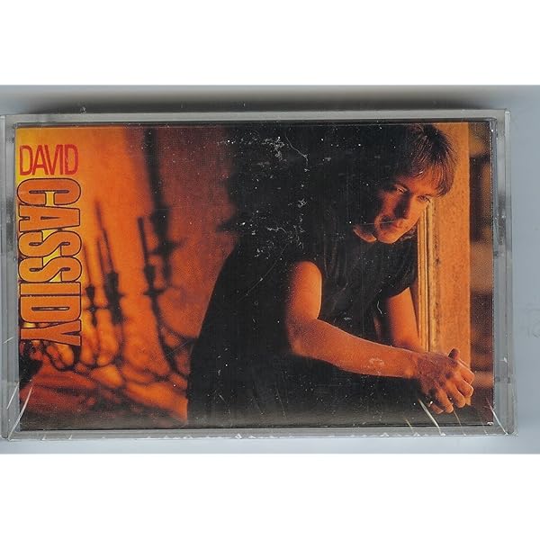 古天楽 MR.COOL特別版　CD+VCD+ブックレット　ルイスクー ルイス・クー 古天楽 古天樂 CD＋VCDアルバム 男朋友 初回盤 廃盤 中古