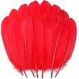 Ballinger Big Red Goose Feathers - 120Pcs 6-8inch Feathers Bulk for DIY Crafts,Angel Wings,Dream Catcher and Wedding Party Decor