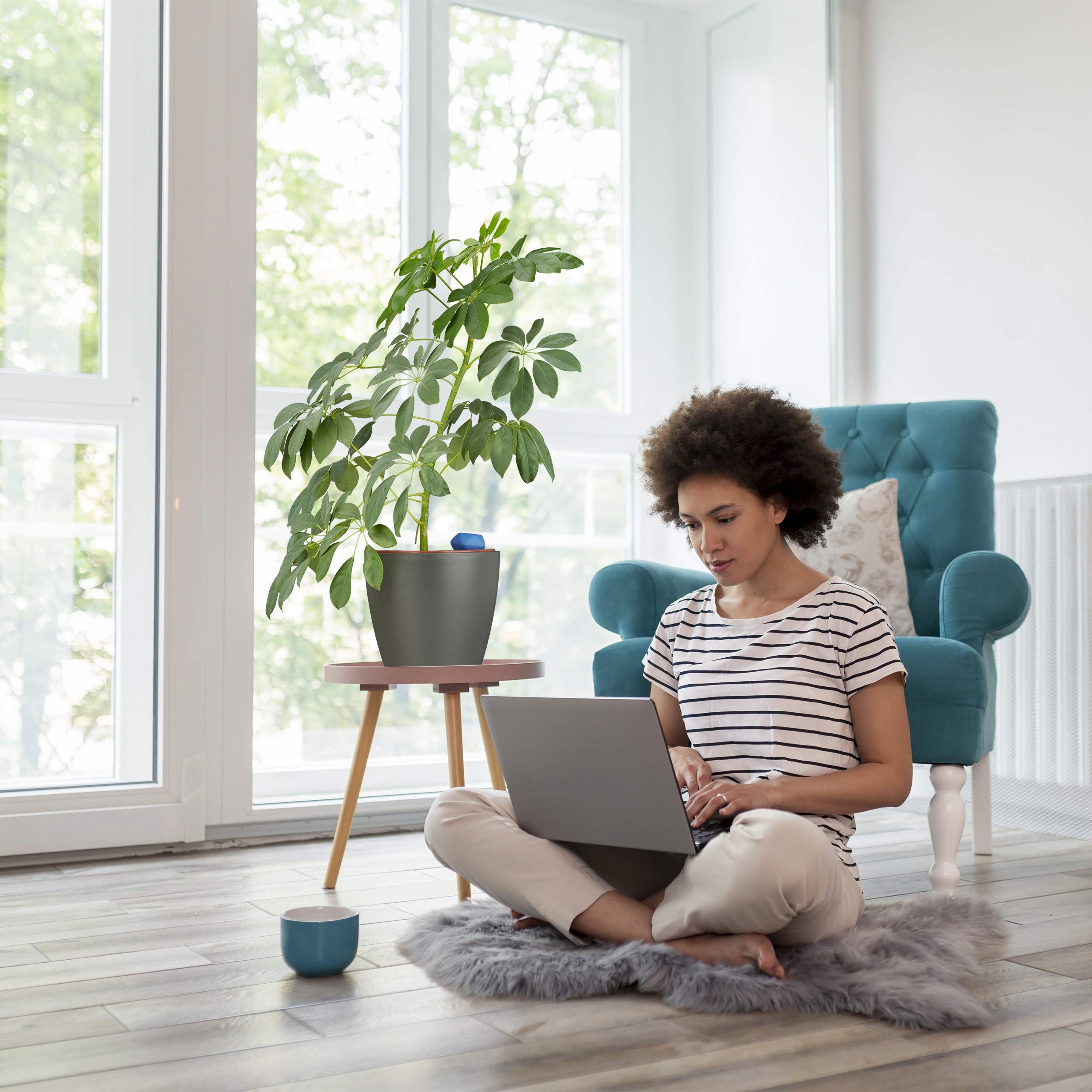 View 5