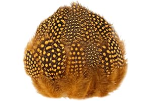 LWINGFLYER 100pcs Orange Spotted Feathers Guinea Pheasant Feather 3-6 Inches for Crafts Dream Catcher Jewelry Decoration, Colored Turkey Chicken Plume Feathers