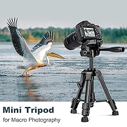 JOILCAN Mini Tripod for Camera, 25-inch Aluminum