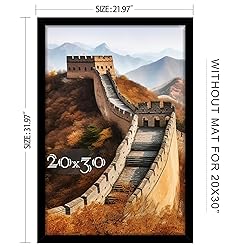 Picrit 20x30 Poster Frame, Picture Frame for Wall