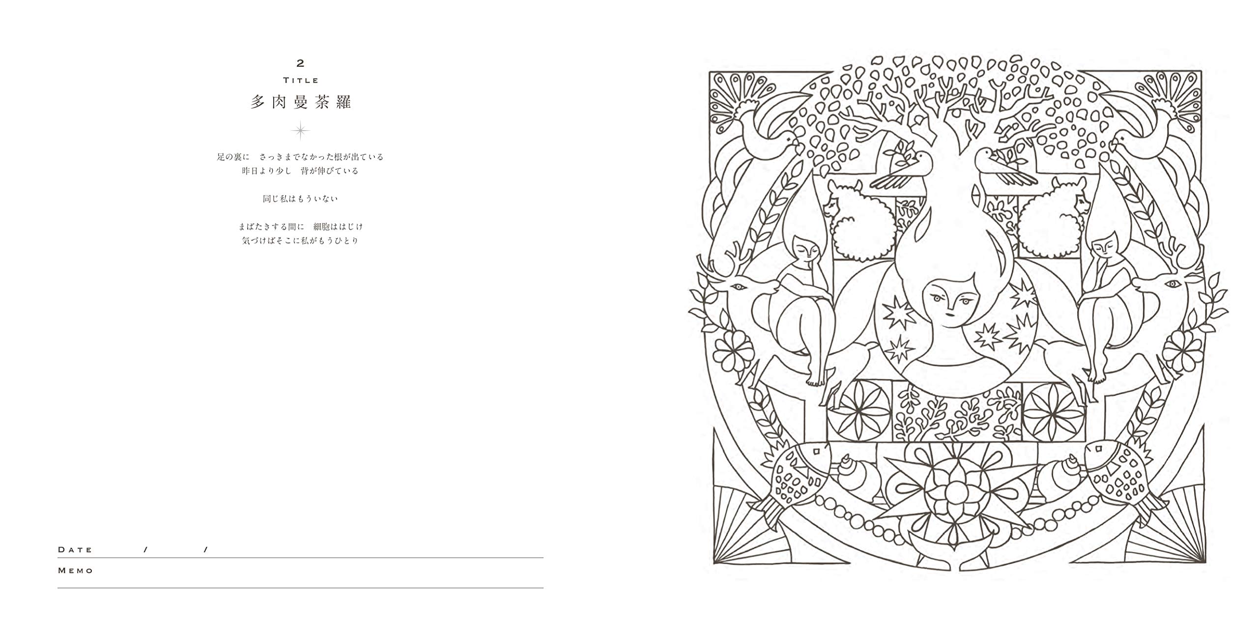 宇宙とつながるマンダラ塗り絵 デナリのマンダーランド 大野舞 本 通販 Amazon