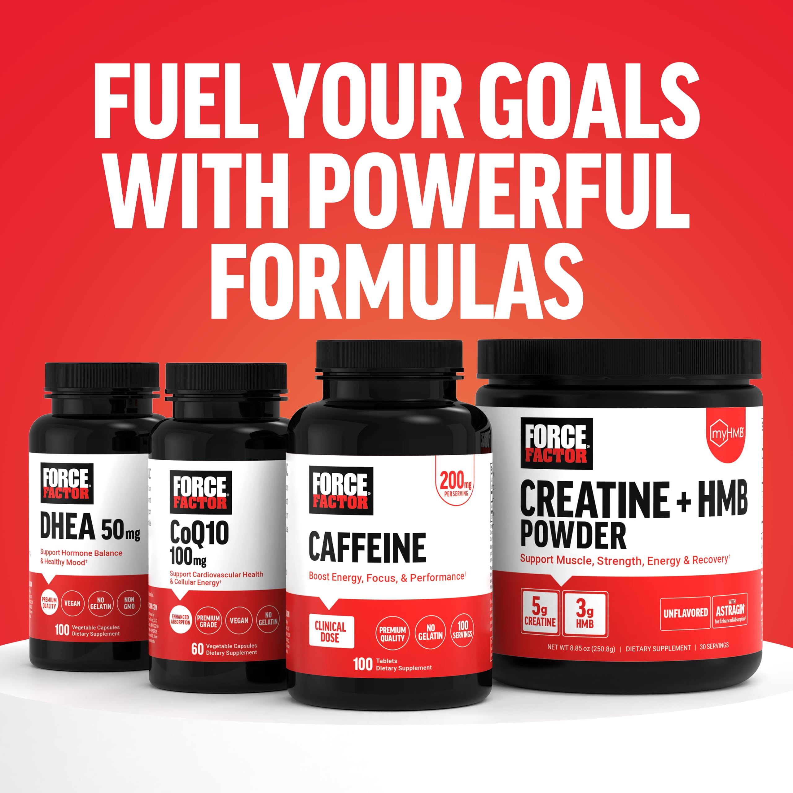 Force Factor L-Carnitine Liquid 3000mg, Maximum Strength Supplement to Support Fat Metabolism, Cellular Energy & Muscle Recovery, High Absorbing, Non-GMO, Berry Flavor, 16 oz Bottle