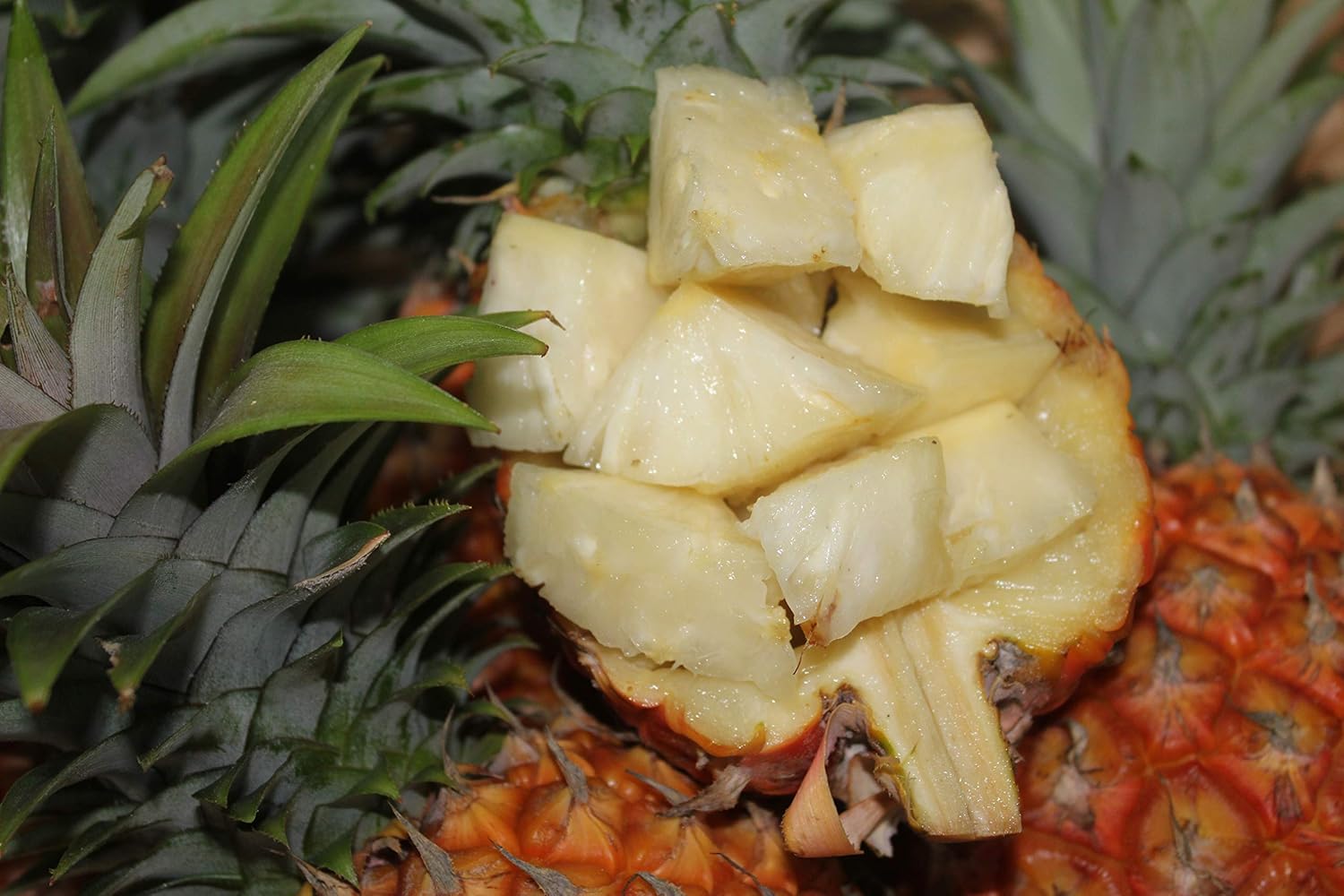 パイナップルのおすすめ10選 人気の台湾産や沖縄県 石垣島産など マイナビおすすめナビ