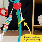 Baby Einstein Farm Explorers Jump & Learn Barnyard Jumperoo 6-12 Months view 5