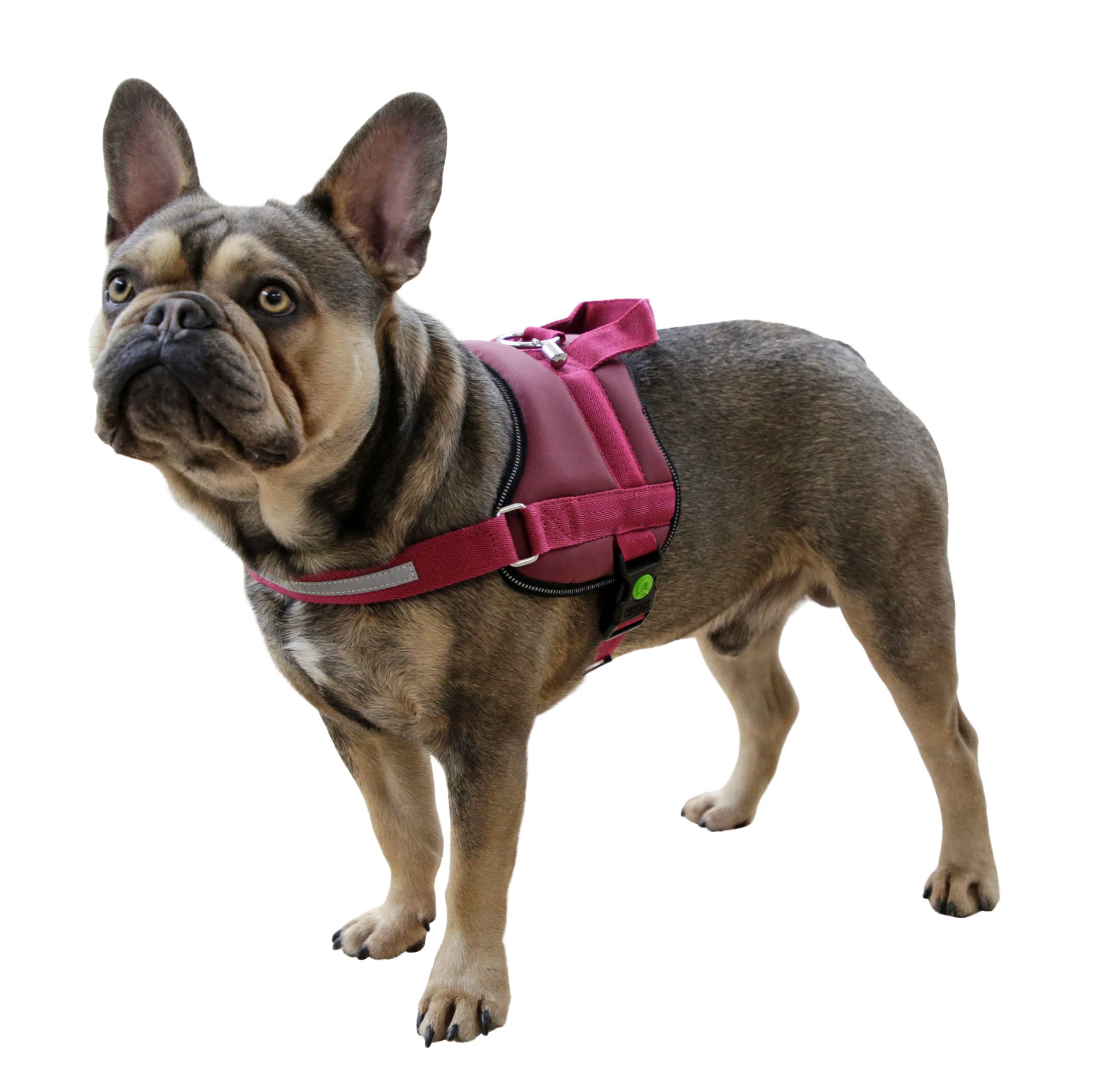 Kerbl Pet Maestro 2.0 Harness Burgundy 38 mm x 83-113 cm with Address Bar