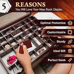 Adjustable Rock Display Case - Rock Collection Box
