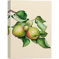SIGNWIN Canvas Wall Art Green and Red Apples with Branches and Leaves Fruit Plants Illustrations Impressionism Vintage Relax/Calm for Living Room, Bedroom, Office - 12x18 inches