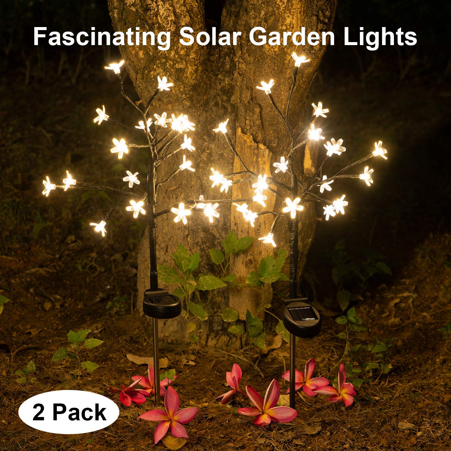Best Solar Lights Fairy Garden Stakes
