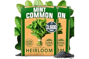 HOME GROWN Premium Common Mint Seeds 2 Pack - 3600 Non-GMO Heirloom Herb Seeds, USA Sourced | Ideal for Planting Mint Seeds Outdoors or Indoors for a Fresh Mint Tea Garden (Mentha spp)