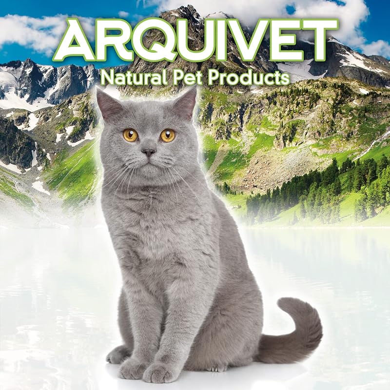 Griffoir tapis - Affiler des ongles de chat - 56 x 36 cm
