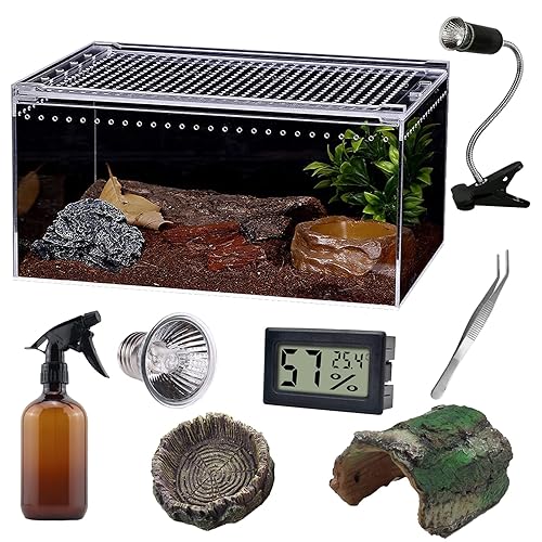 Reptile Terrarium Amphibian Tank Starter Kit, Eco Rainforest