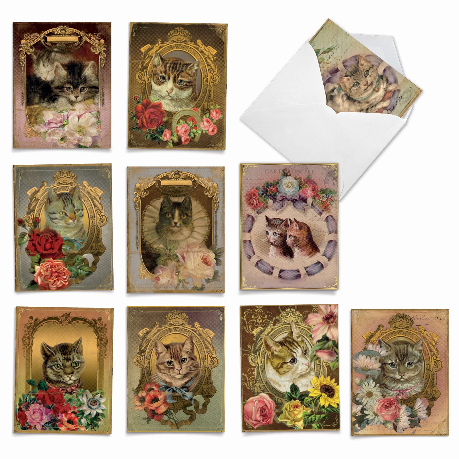 M6638TYG Feline Frames: 10 Assorted Thank You Note Cards Featuring Vintage Cats Posing in Victorian Style Gilded Frames covered by Colorful Flowers, w/White Envelopes. by The Best Card Company