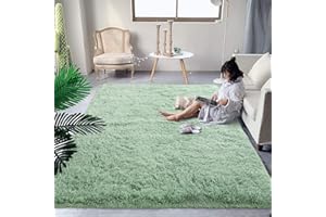 DweIke Fluffy Area Rugs for Living Room Bedroom, 3x5 ft Plush High Pile Green Rug for Kids Girls Bedroom Nursery Home Decor, Non-Slip Super Soft Shaggy Washable Rugs Indoor Floor Carpets, Green