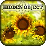 Hidden Object - Country Corner