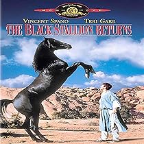 ワイルドブラックTHE BLACK STALLION USオリジナル映画ポスター ワイルドブラックTHE BLACK STALLION USオリジナル映画ポスター