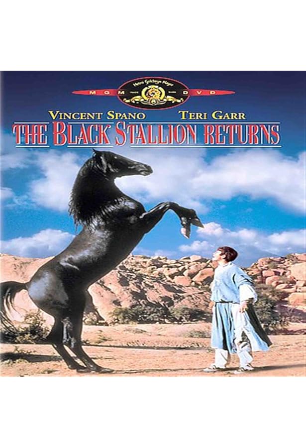 Amazon.com: Black Stallion, The : Movies & TV