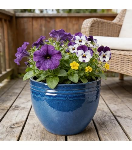 Amazon.com : Gardener Select® Egg Planter, Modern Indoor & Outdoor
