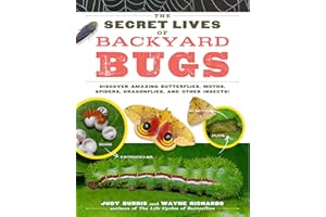 The Secret Lives of Backyard Bugs: Discover Amazing Butterflies, Moths, Spiders, Dragonflies, and Other Insects!