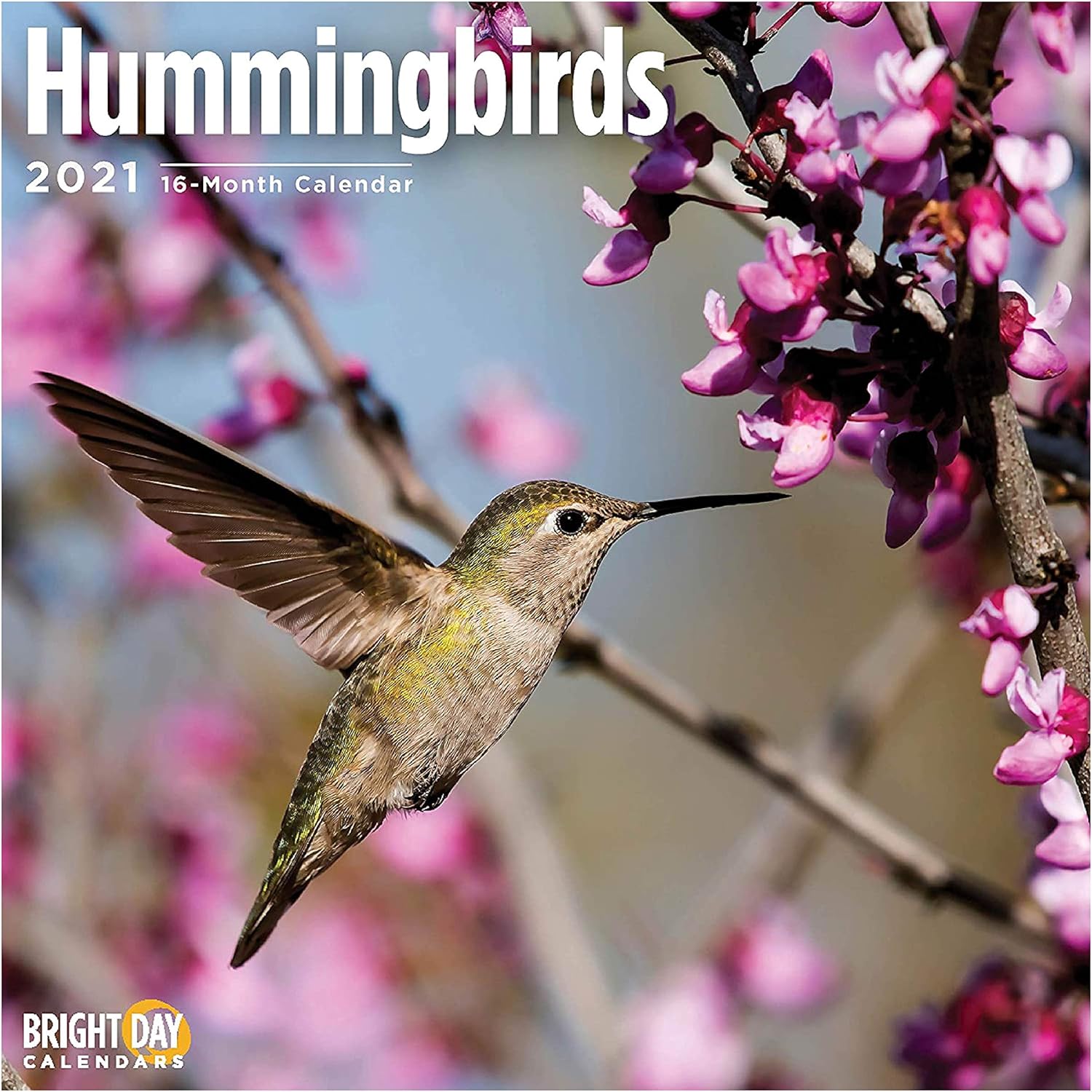 Amazon Bright Day Calendars 21 ハチドリの壁カレンダー バイ 明るい日 12 X 12 インチ かわいい鳥のコレクション アダルトカレンダー 文房具 オフィス用品