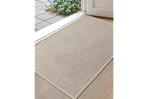 Color&Geometry Indoor Door Mat 32" x 48" Non Slip Low Profile Floor Mat, Ultra Thin Washable Entrance Mat Indoor, Unique Herr